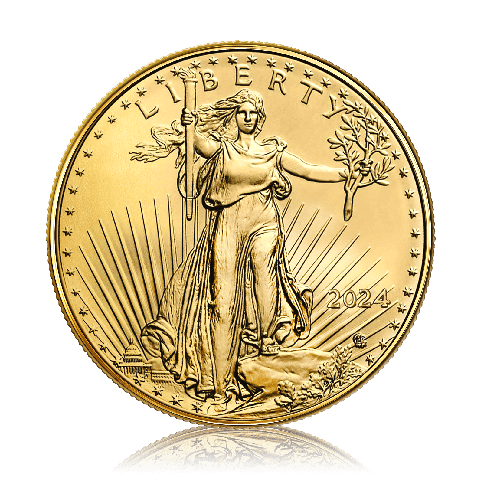 1oz Gold US American Eagle (2024)