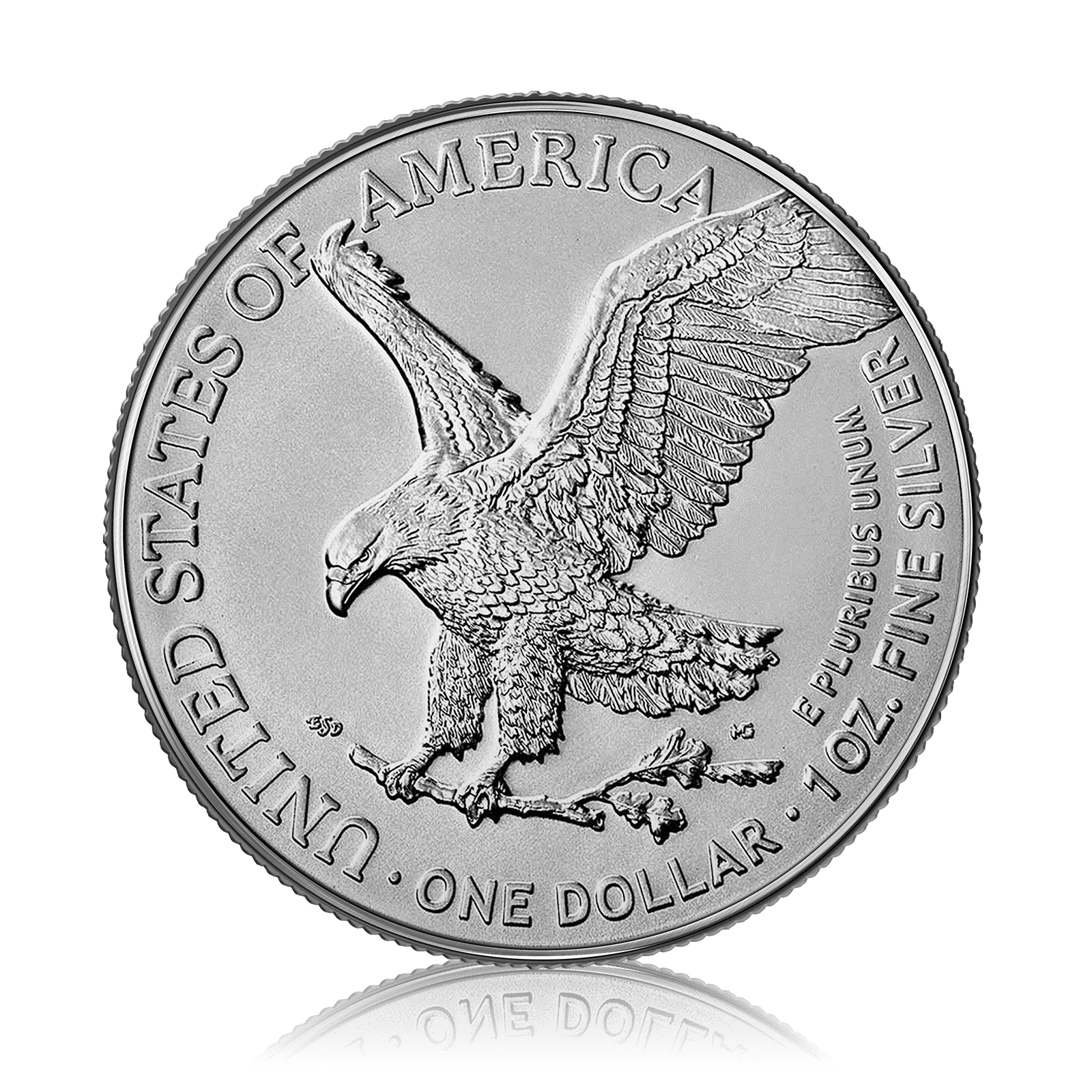 1oz Silver American Eagle (2024)