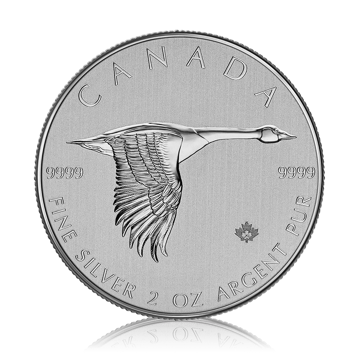 2oz Silver Canada Goose 2020 Gold Bank London