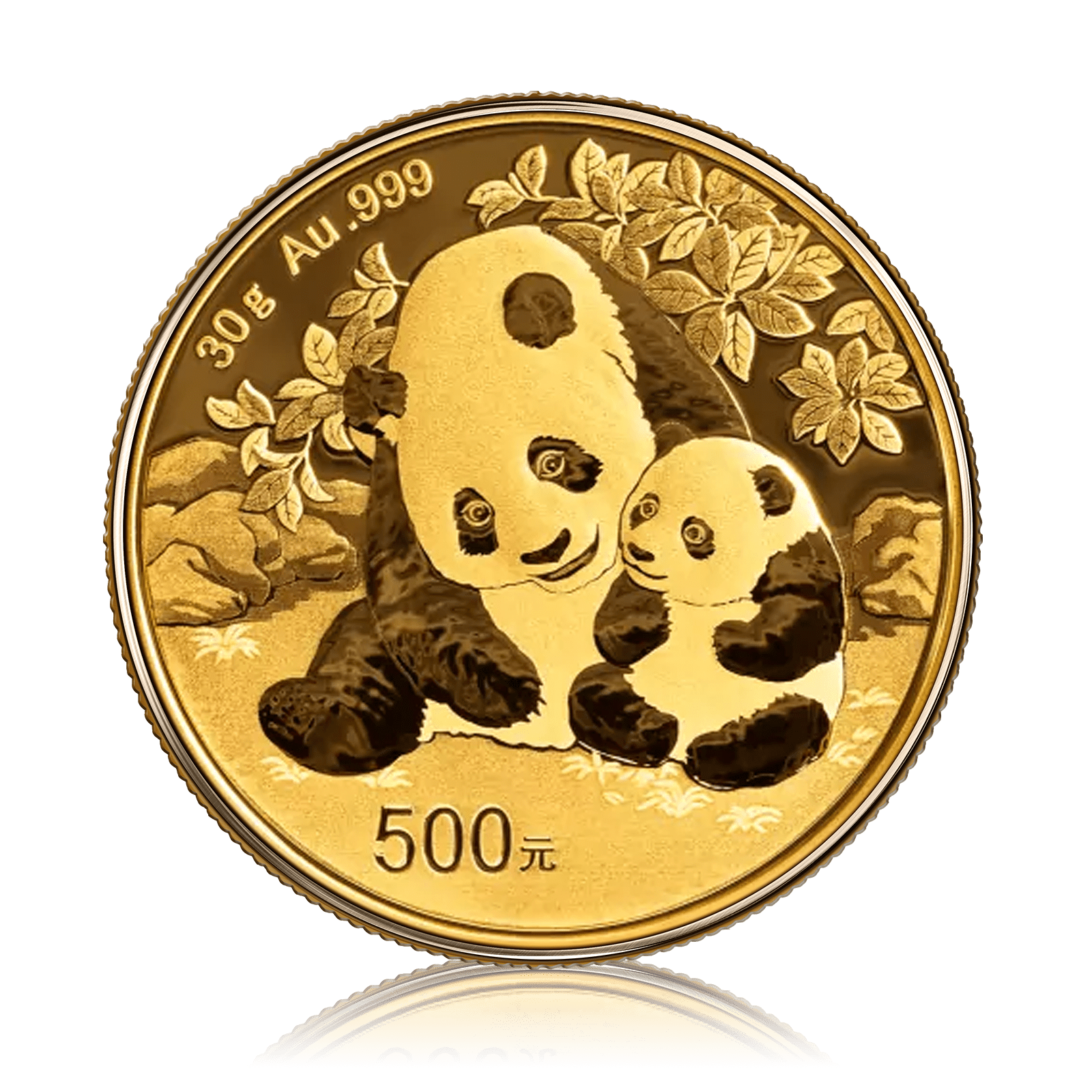 30g Chinese Panda (2024)