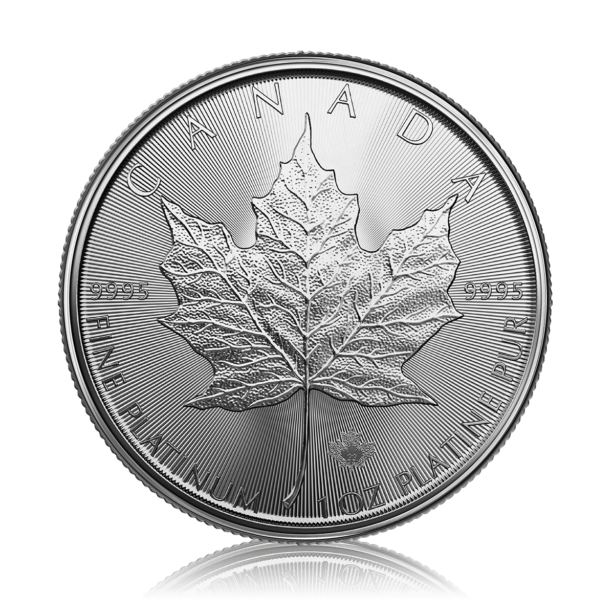 1oz Platinum Maple Leaf