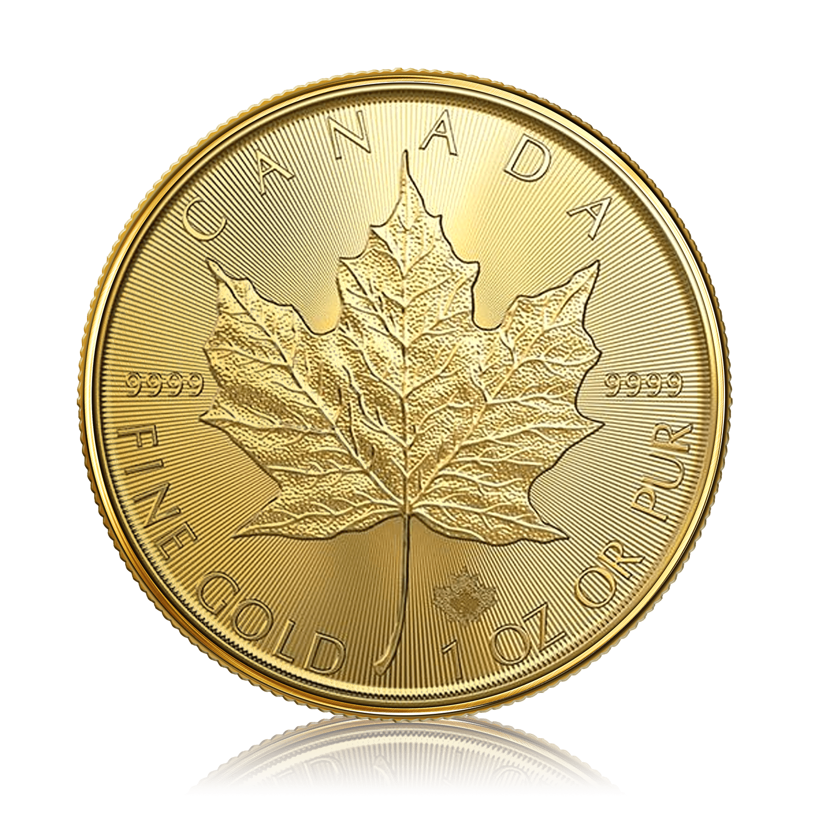 1oz Gold Maple Leaf (2024)